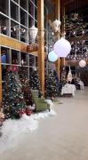 Festival of Trees Dryden ON