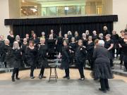 Showing of our Crinolines